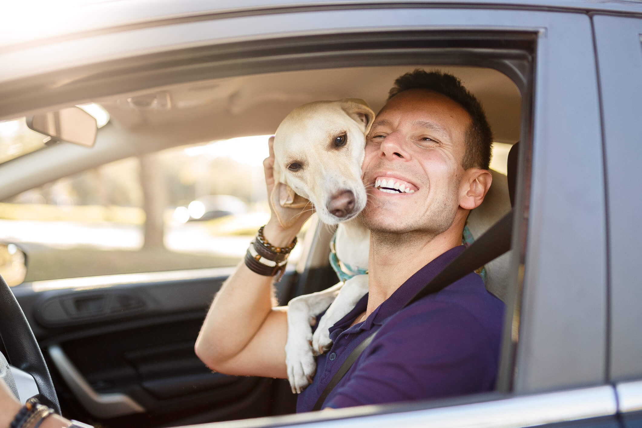 Tudo sobre Uber Pet: Veja!